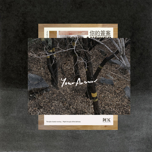 国产激情视频在线观看
