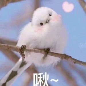 国产激情视频在线观看
